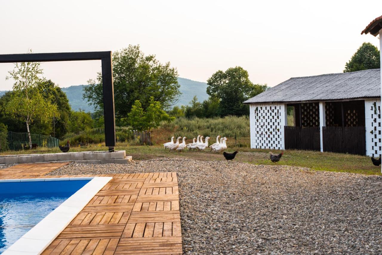 Skriveni Raj Guest House กอร์นีย์มิลาโนวัซ ภายนอก รูปภาพ