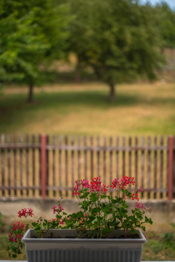 Skriveni Raj Guest House กอร์นีย์มิลาโนวัซ ภายนอก รูปภาพ