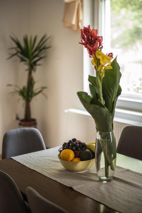 Skriveni Raj Guest House กอร์นีย์มิลาโนวัซ ภายนอก รูปภาพ
